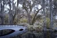 Magnolia Gardens 4