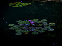 _MG_9639-Edit