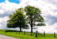 _7R32604-Edit