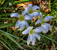 _C7A1334-Edit