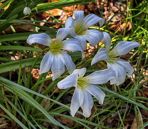_C7A1334-Edit
