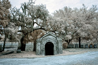 Magnolia Cemetery 5