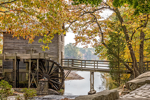 _DSC2669-Edit