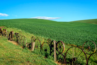 _DSC2734-Edit