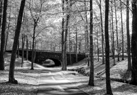 _IR71476-Edit