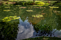 _MG_9618-Edit