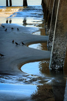 _C7A7934-Edit-2
