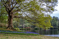 IMG_1985-Edit