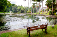 _MG_9688-Edit-Edit