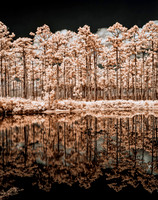 _C7A0583_Nik_1_DxO2