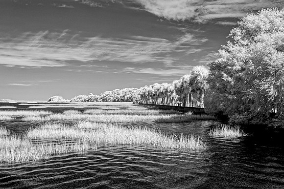 _C7A0659_DxO2