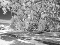 _C7A0660_DxO2