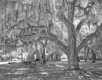 _C7A0675_DxO2