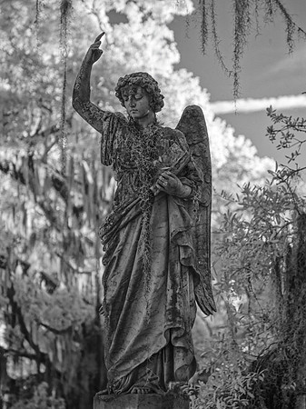 _C7A0706_DxO2