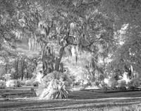 _C7A0708_DxO2