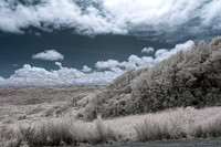_MG_1315_DxO2