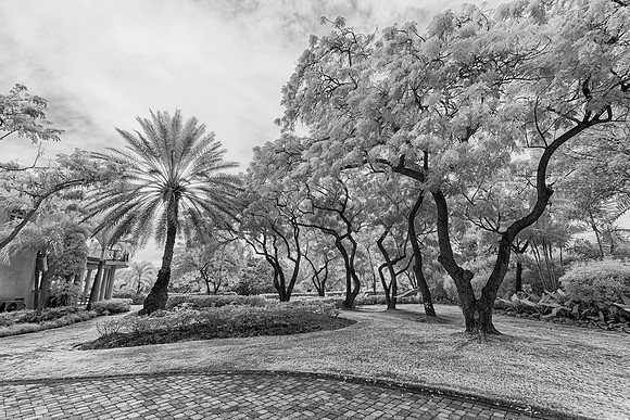 _MG_1309-Edit-Edit-Edit_DxO2