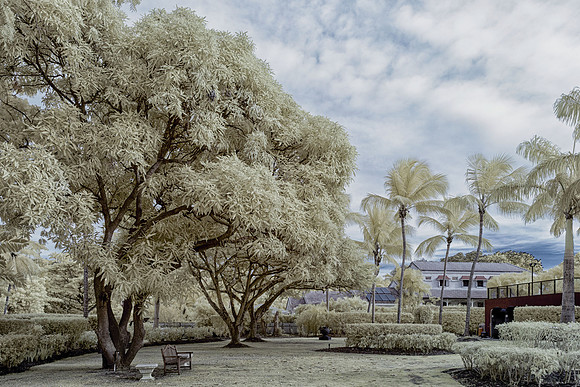 _MG_1305-Edit_DxO2