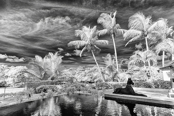 _MG_1300-Edit-Edit_DxO2
