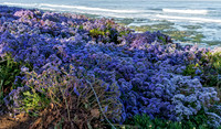 _DSC9231-Edit