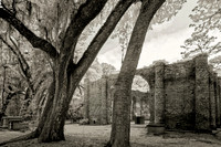 Cypress Wetlands