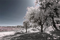 _C7A1092_Nik_DxO