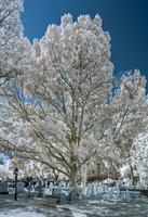 _C7A1101_DxO
