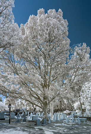 _C7A1101_DxO