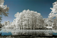 _C7A1120_DxO