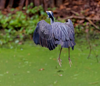 _B7A8348_DxO2_1
