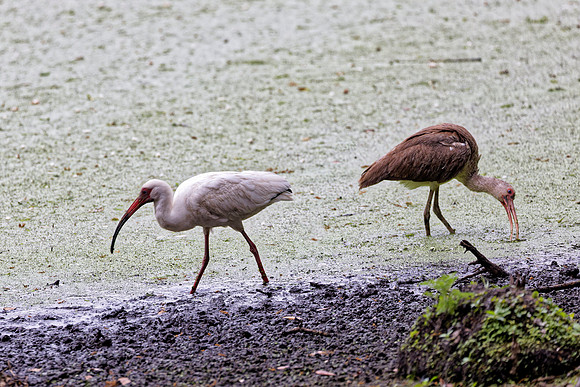 _B7A8320_DxO2