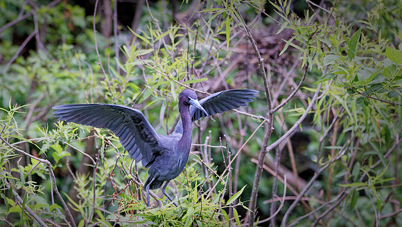 _B7A8431_DxO2