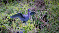 _B7A8432_DxO2