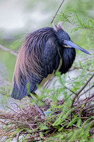 _B7A8394_DxO2