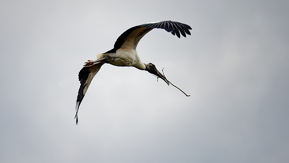 _B7A8489_DxO