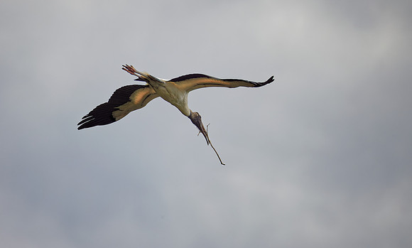_B7A8488_DxO