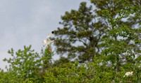 _B7A8475_DxO