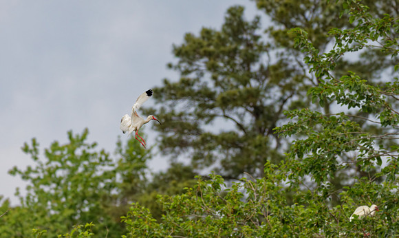 _B7A8475_DxO