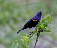 _B7A8507_DxO