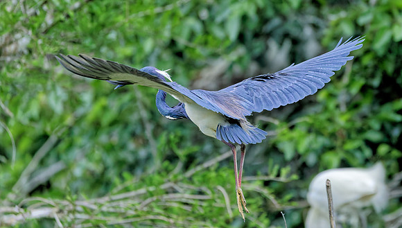 _B7A8622_DxO
