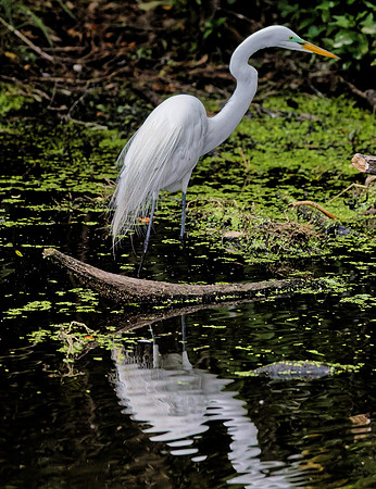 _B7A8608_DxO