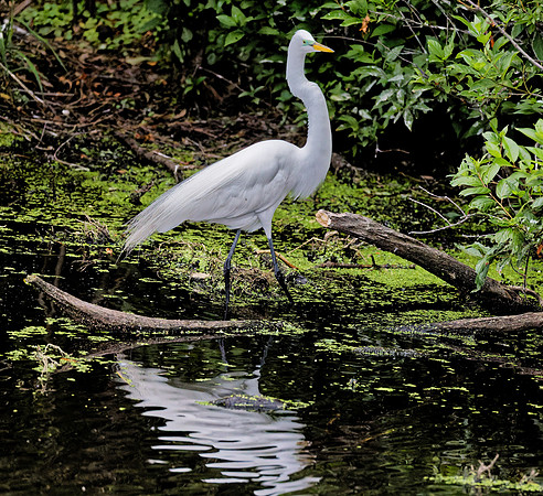 _B7A8612_DxO