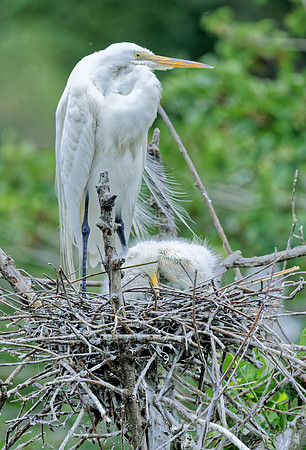 _B7A8649_DxO