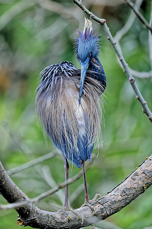 _B7A8680_DxO