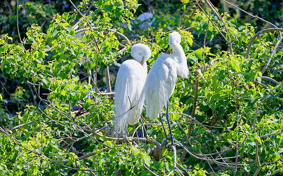 _B7A8925_DxO