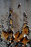 _7R33076_DxO