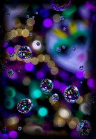 _C7A2542_Nik_DxO
