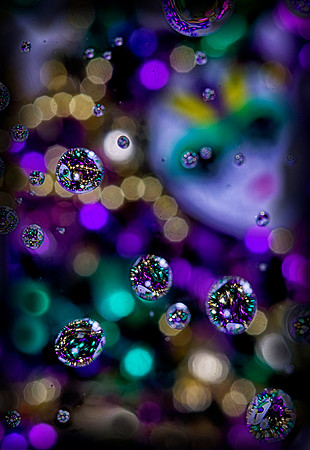 _C7A2542_Nik_DxO