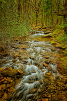 _C7A2702_Nik_DxO