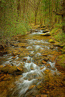 _C7A2704_Nik_DxO